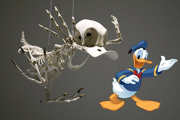 cartoon_skeleton