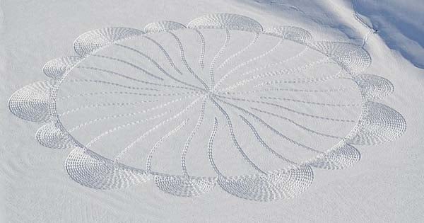 snow_art9