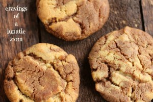 Peanut-Butter-and-Nutella-Swirl-Cookies-by-Cravings-of-a-Lunatic-3