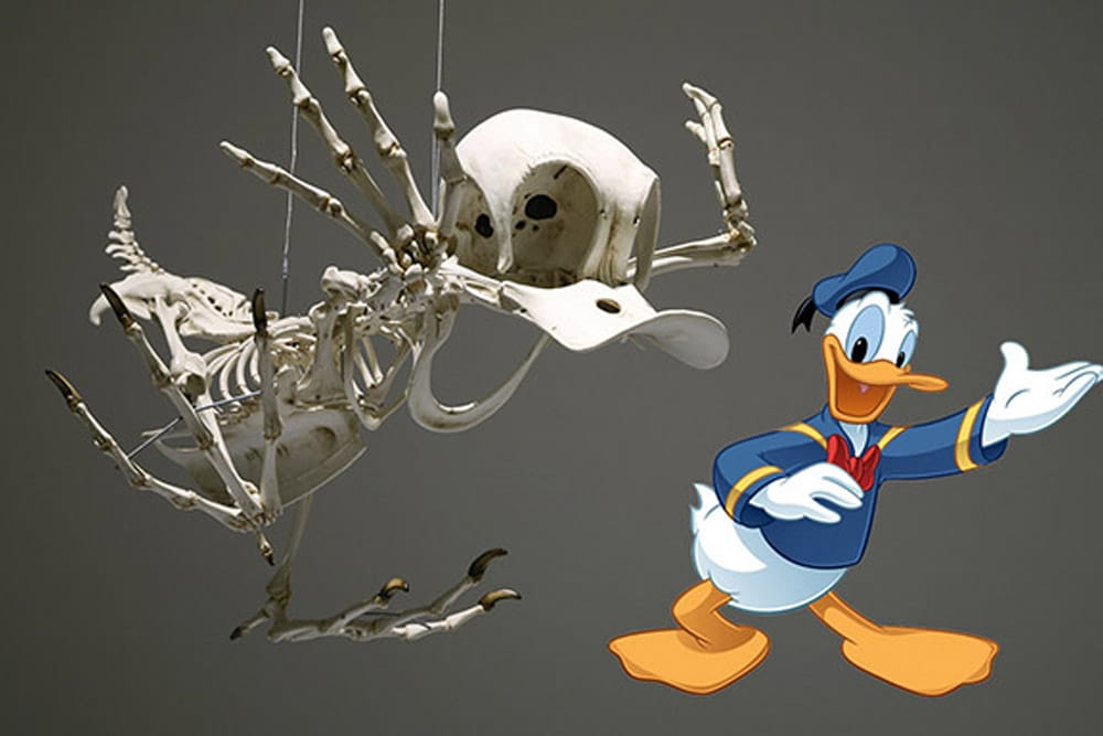 Artist Creates Skeletons Of Cartoon Characters