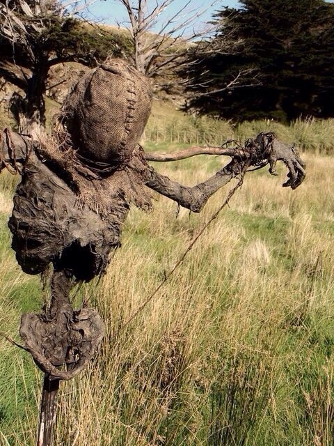 Creepy scarecrow
