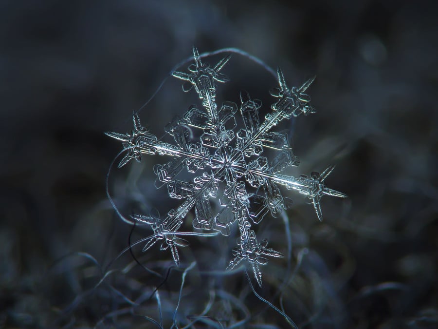 snowflake1