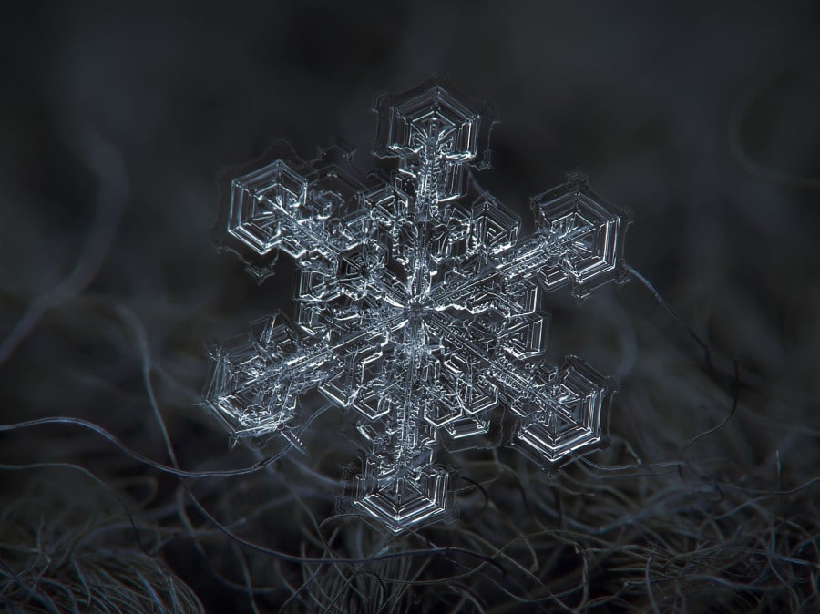 snowflake4