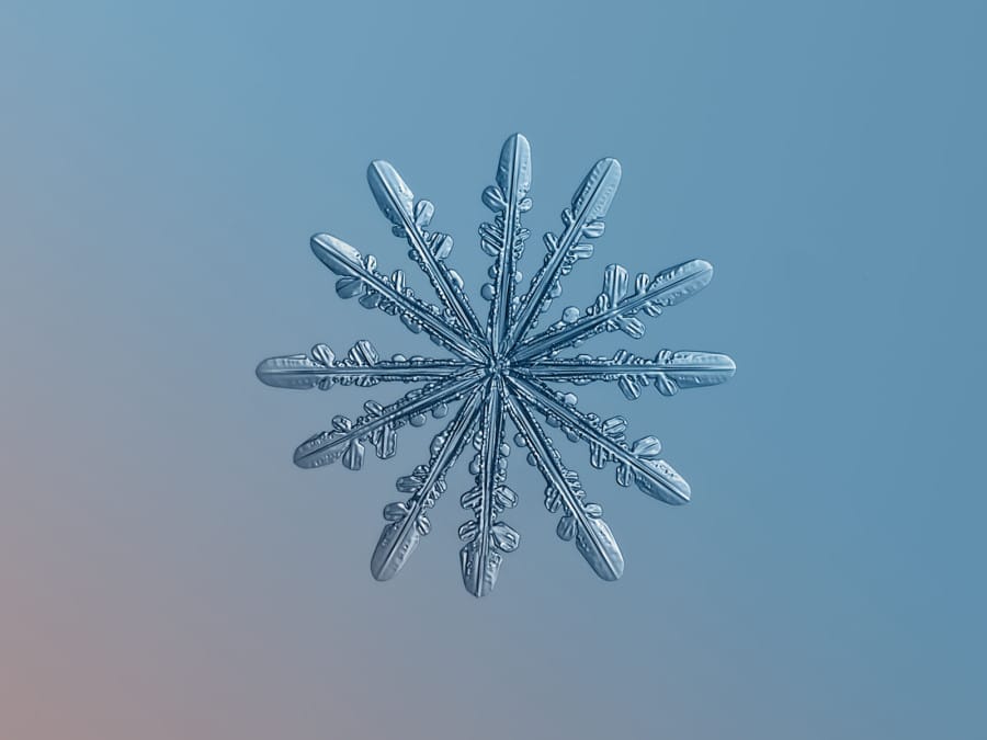 snowflake7