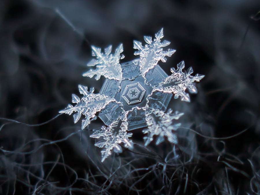 snowflake8