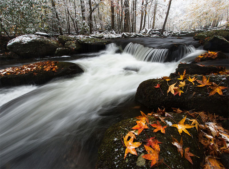 Tremont, Great Smoky Mountains, NP, TN