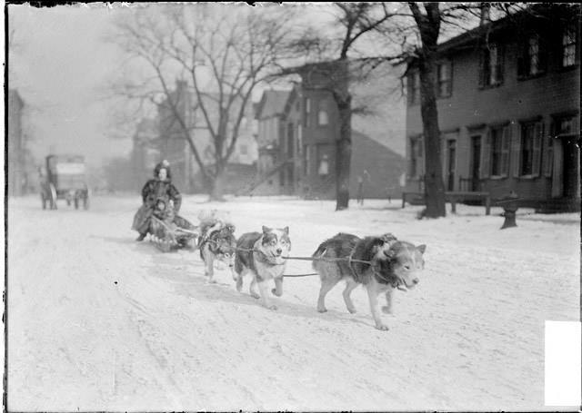 A dog sled pulls a mother and child down a snow covered street. Chicago, 1904.