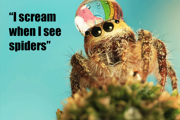 I scream when I see spiders