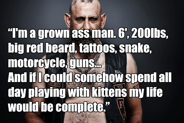 I'm a grown ass man. 6', 200lbs, big red beard, tattoos, snake, motorcycle, guns... And if I could somehow spend all day playing with kittens my life would be complete.