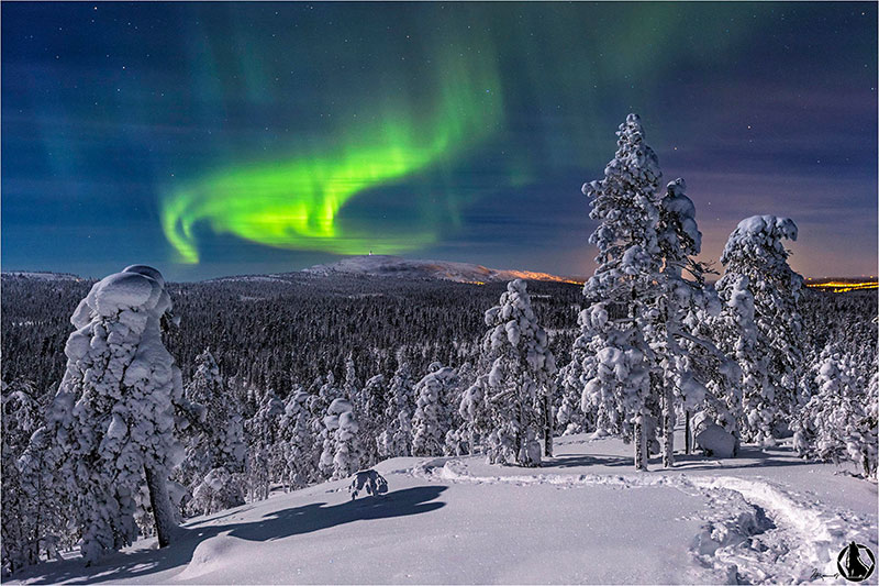 Aurora Borealis over the forest of the Pyhae Luosto National Park, Finland.