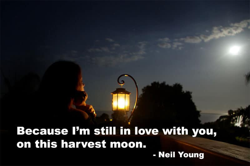 Words: Neil Young / Image