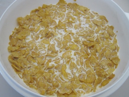 cornflake