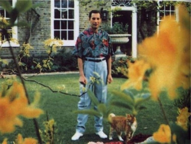 The last photo of Freddie Mercury