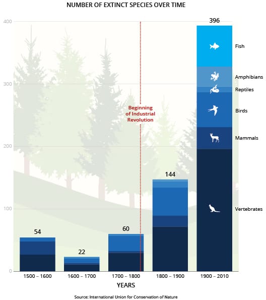 Extinction Chart v06