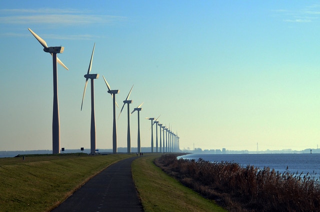 wind farm